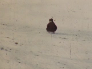 Running - Home Movie Clips