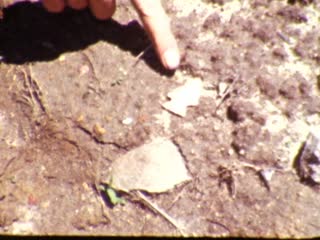 Arrowheads - Home Movie Clips