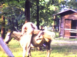 Ford Model T - Home Movie Clips