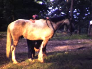 Ozark Mountains - Home Movie Clips