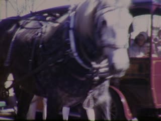 Trolleys - Home Movie Clips