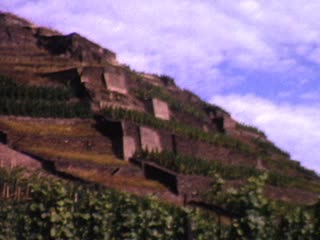 Vinyards - Home Movie Clips