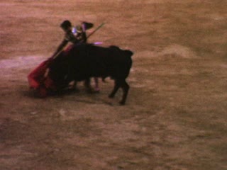 Bulls - Home Movie Clips