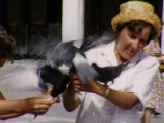 Piazza San Marco - Home Movie Clips