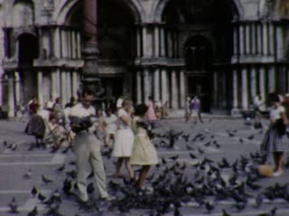 Pigeons - Home Movie Clips