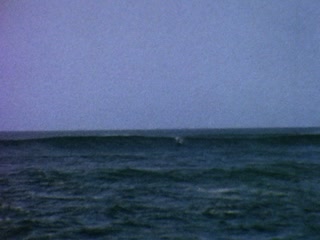 Surfing - Home Movie Clips