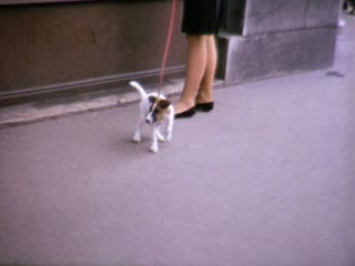 Patyolat Advertising - Home Movie Clips