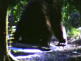 Campgrounds - Home Movie Clips