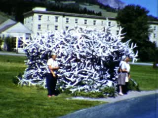 House of Antlers - Home Movie Clips