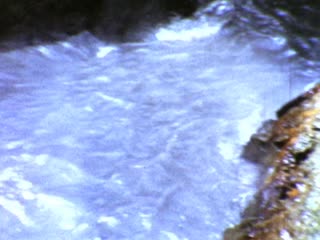 Mud Volcano - Home Movie Clips