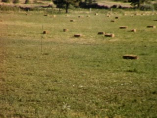 Hay Bales - Home Movie Clips
