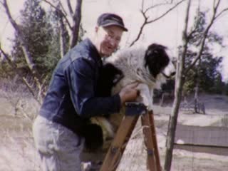 Dog on Ladder - Home Movie Clips