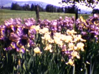 Homes, Country - Home Movie Clips