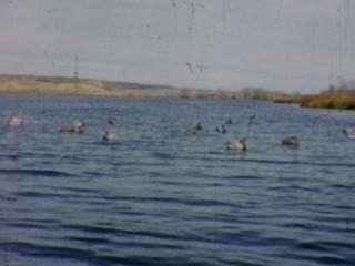 Boating - Home Movie Clips