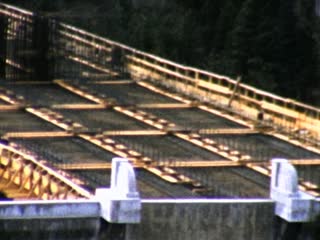 Bridges - Home Movie Clips