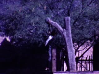 Hanging - Home Movie Clips