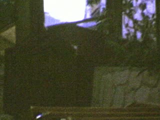 Rancho Palos Verdes - Home Movie Clips