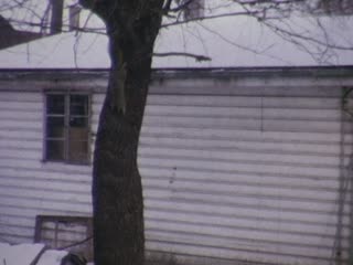 Squirrels - Home Movie Clips