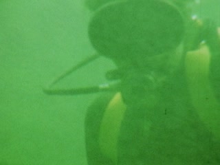 Scuba Diver - Home Movie Clips