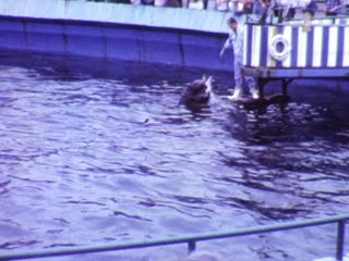 Palos Verdes - Home Movie Clips