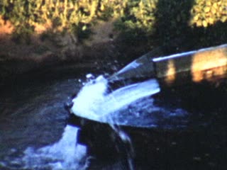 Irrigating - Home Movie Clips