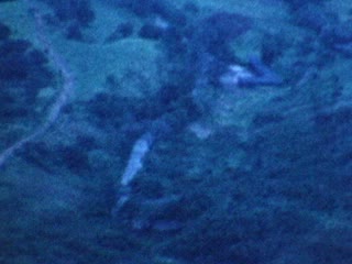 Pali Road - Home Movie Clips