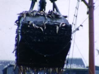 Crane Buckets - Home Movie Clips