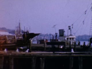 Flow - Home Movie Clips