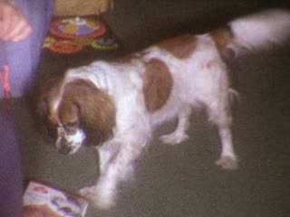 High Gear (game) - Home Movie Clips