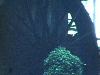 Mills - Home Movie Clips