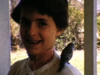 Parakeets - Home Movie Clips