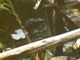 Franconia - Home Movie Clips