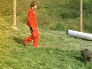 Lincoln - Home Movie Clips