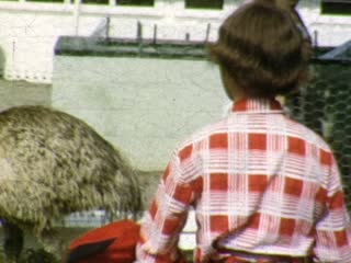 Emus - Home Movie Clips