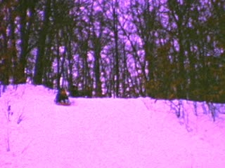 Countryside - Home Movie Clips