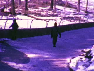 Mountain Sheep - Home Movie Clips