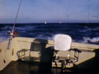 Sharks - Home Movie Clips