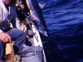 Fishing - Home Movie Clips