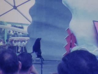 Miami Seaquarium - Home Movie Clips