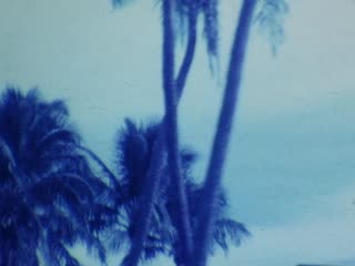 Hawaiian Isle Resort Motel - Home Movie Clips