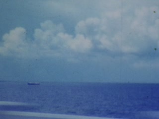 Tampa Bay - Home Movie Clips