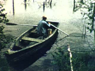 Rowing - Home Movie Clips