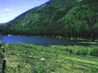 Volkswagen Beetle - Home Movie Clips