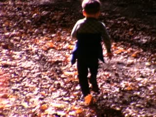 Forest - Home Movie Clips