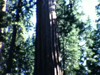 Yosemite National Park - Home Movie Clips