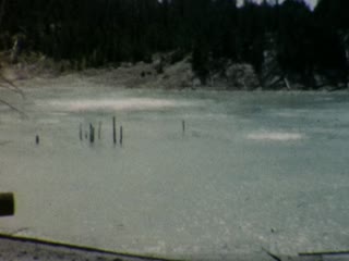 Springs - Home Movie Clips