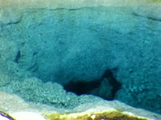 Morning Glory Pool - Home Movie Clips