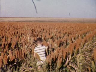 Retro Color Films - Home Movie Clips