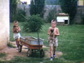 Wagons - Home Movie Clips