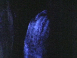 Box Canyon Falls - Home Movie Clips